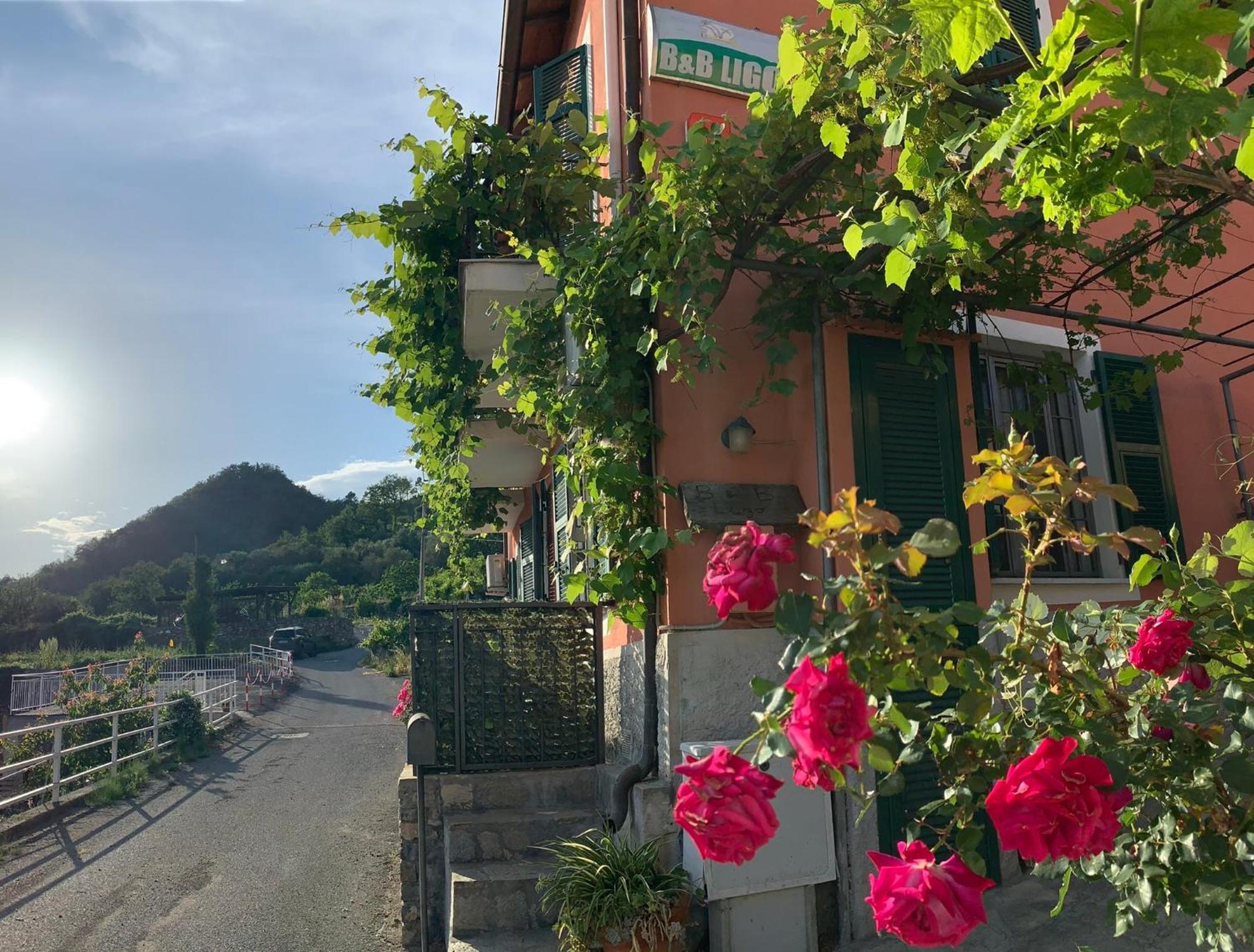 Bed and Breakfast Ligo Villanova d'Albenga Exterior foto