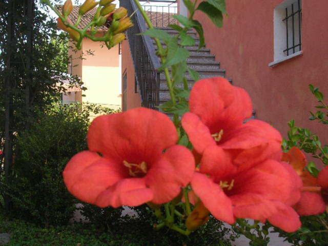 Bed and Breakfast Ligo Villanova d'Albenga Exterior foto