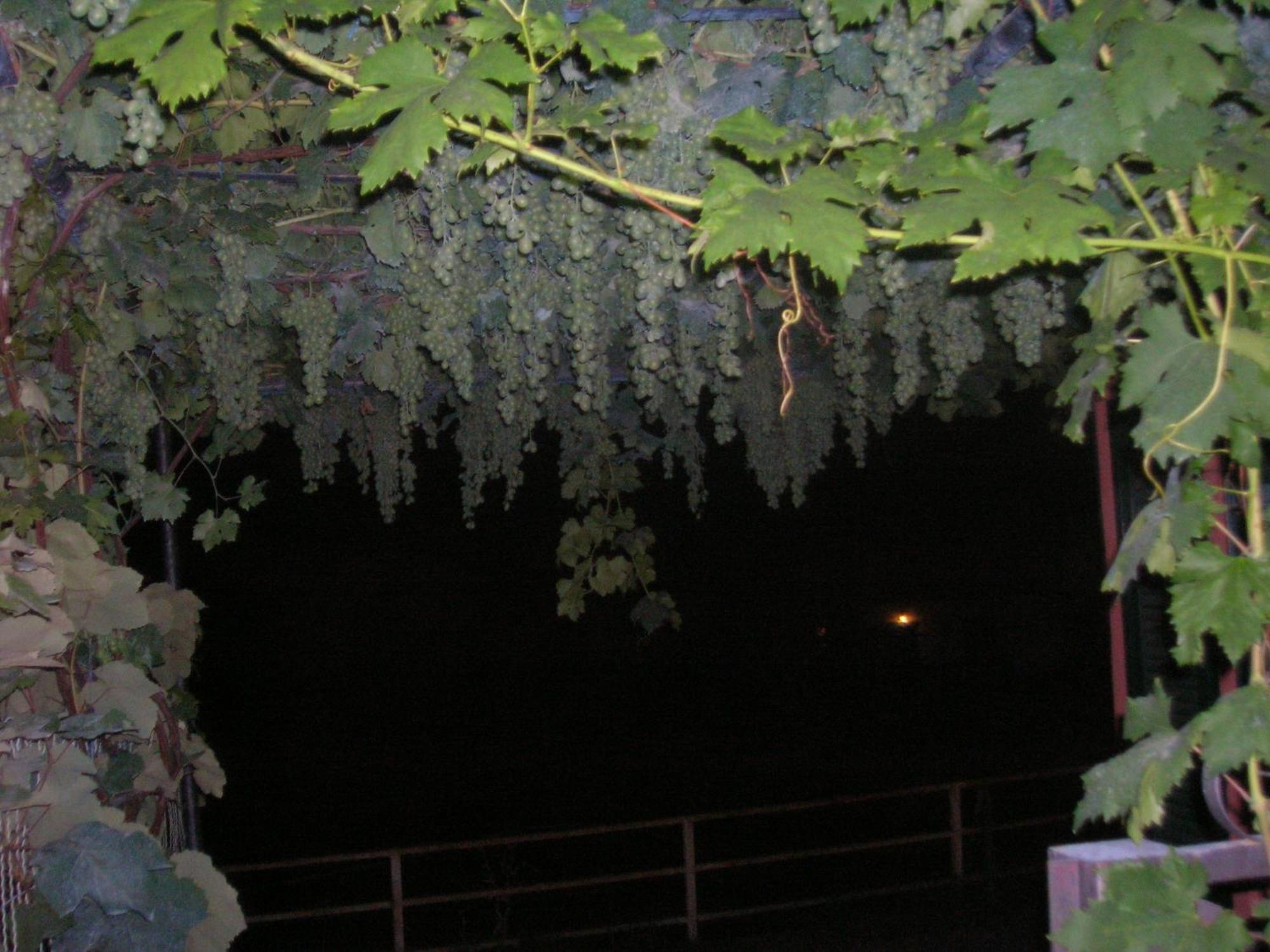Bed and Breakfast Ligo Villanova d'Albenga Exterior foto
