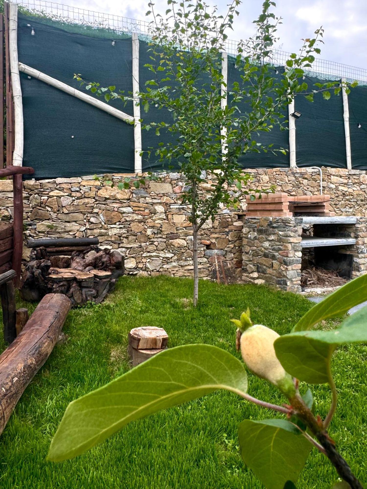 Bed and Breakfast Ligo Villanova d'Albenga Exterior foto